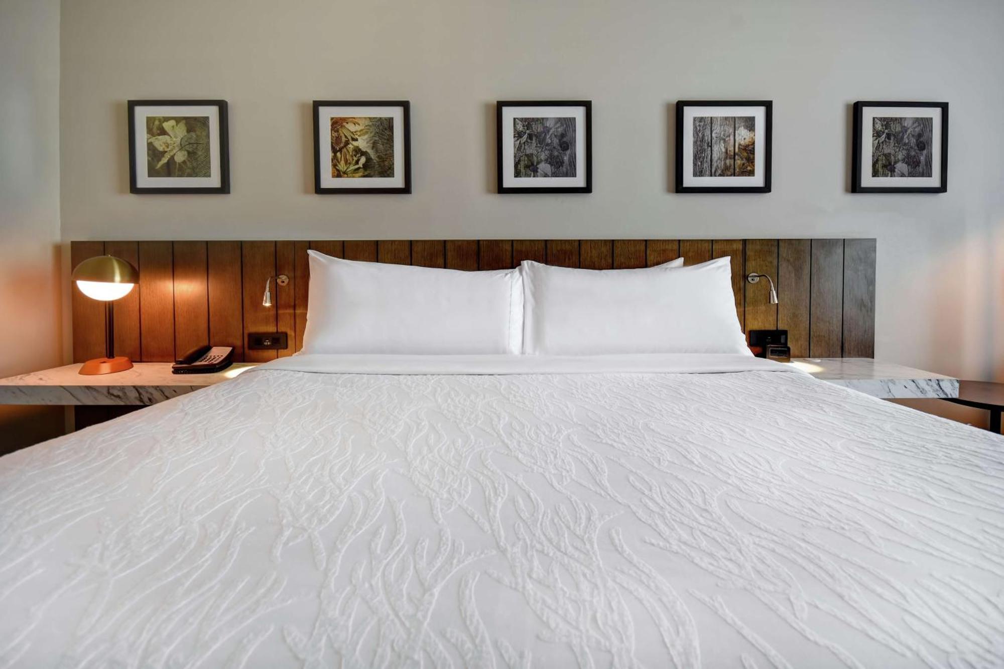 Hilton Garden Inn Jackson Kültér fotó